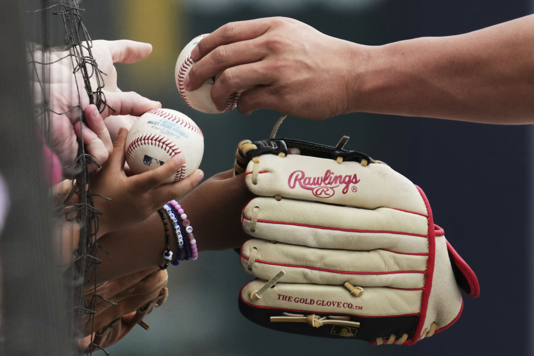 Cardinals White Sox Baseball